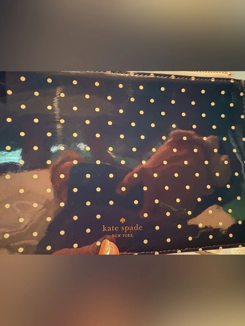 Kate Spade Navy Larabee Dot Pen & Pencil Pouch